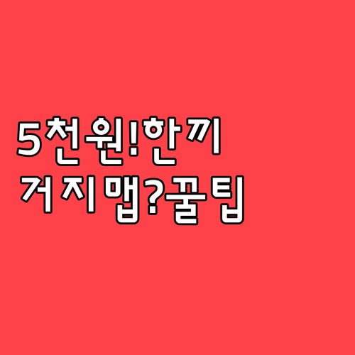 5천원으로 든든한 한 끼, 거지맵 추..