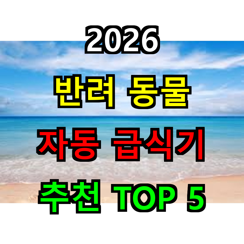 2026 반려동물 자동급식기 추천 TOP 5