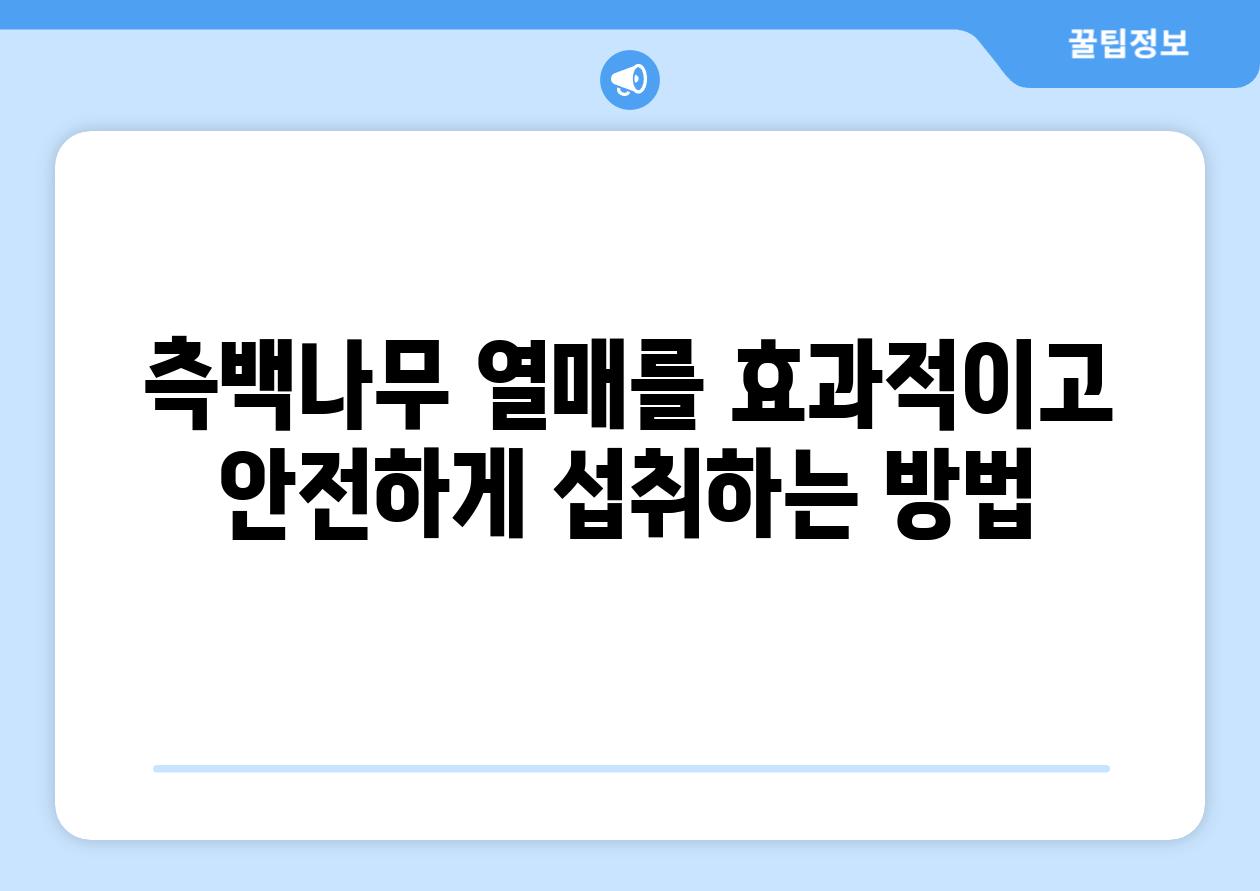 측백나무 열매를 효과적이고 안전하게 섭취하는 방법