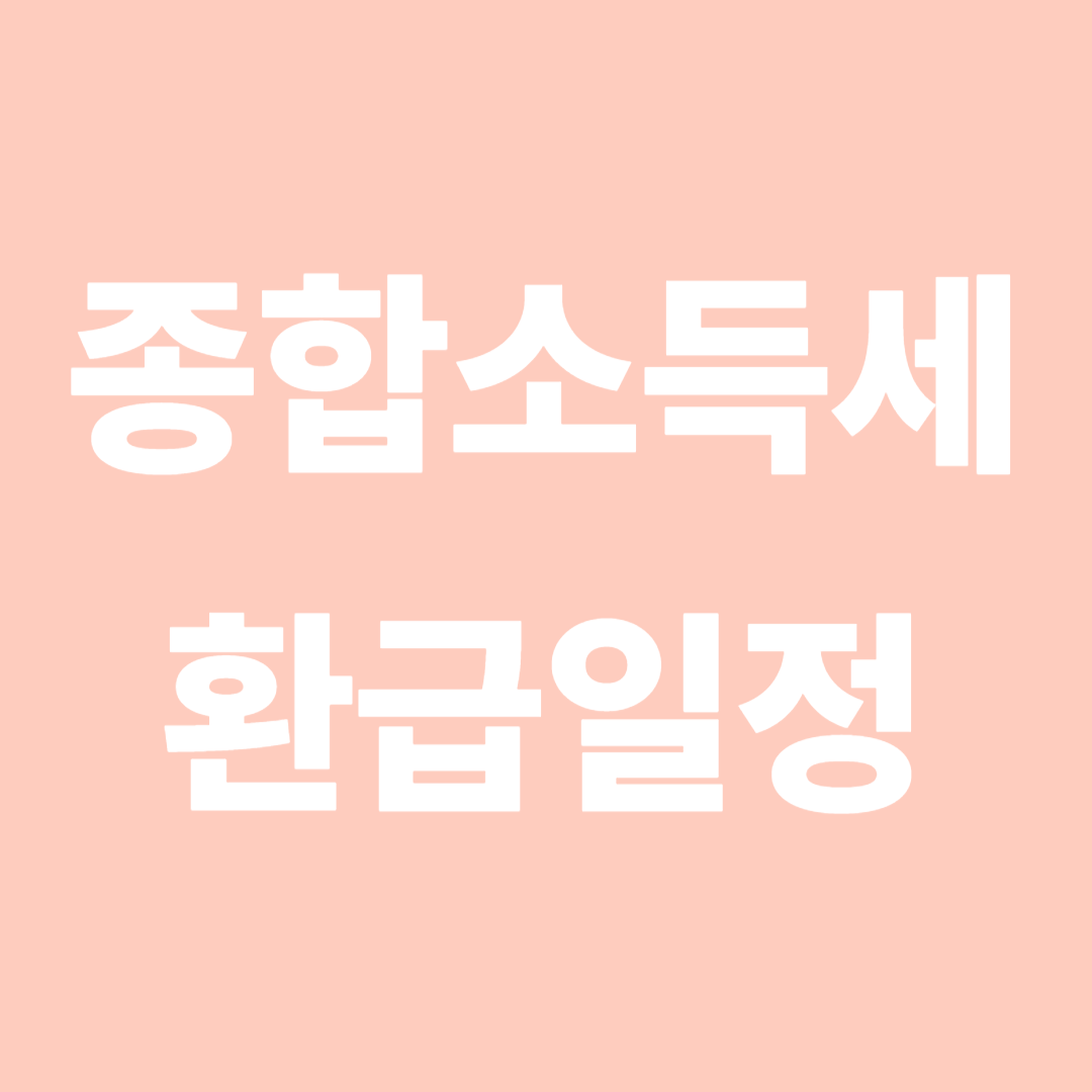 종합소득세 환급일정