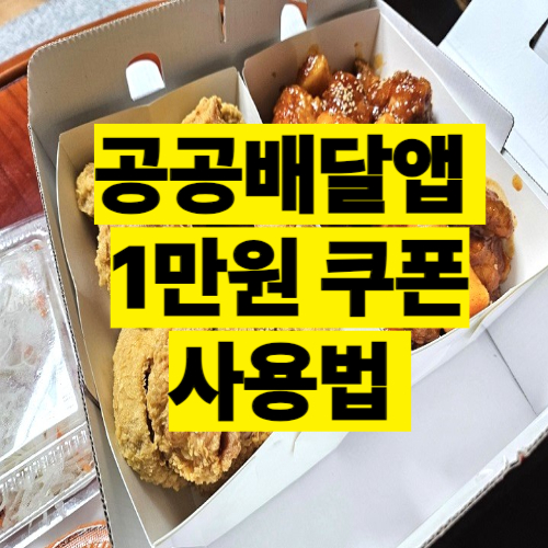 공공배달앱 1만원 쿠폰 사용법