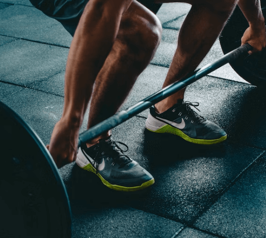 헬시 플레저 - 프로바이오틱스