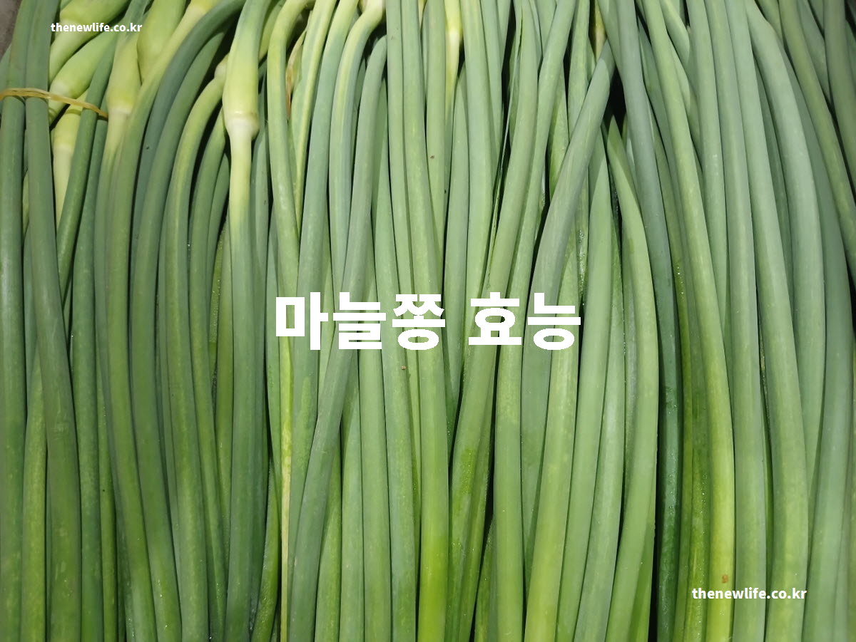 마늘쫑 효능 대표 실사진