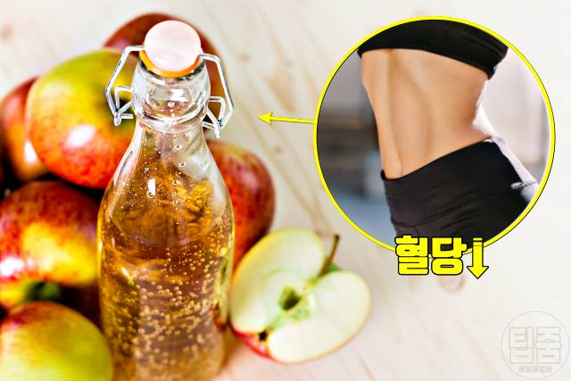 복부 체지방 빼는 음식 사과식초