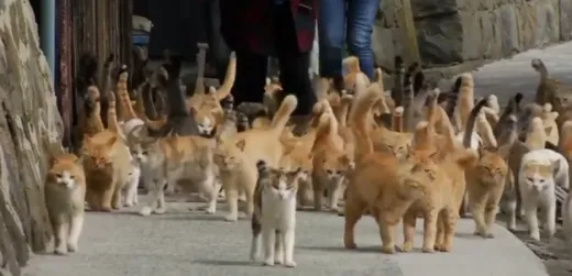 &amp;quot;일본