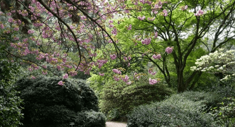 천리포수목원 봄축제: 자연이 피어나는 순간을 걷다!