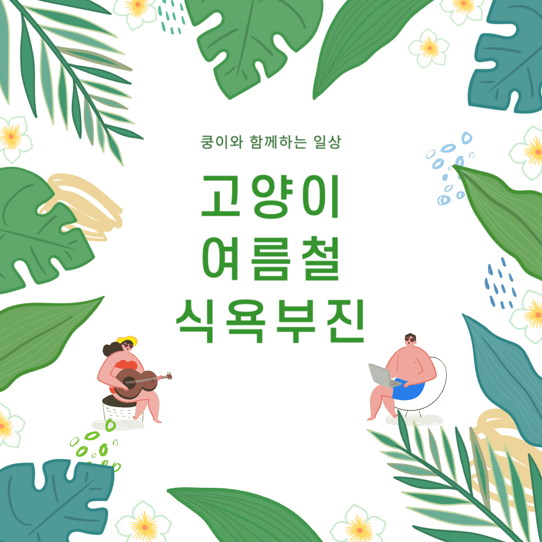 고양이 여름철 식욕부진