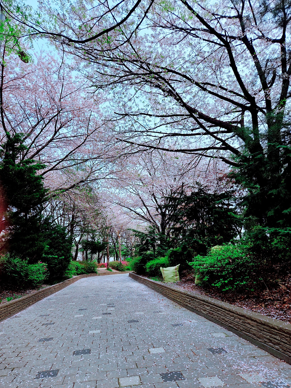 [인천 부평 굴포천&amp;#44; 청리단길 맛집] 태국&amp;#44; 베트남 음식 &amp;#39;덕쿤&amp;#39;: 짜조 무료 쿠폰 받는 법