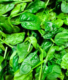 신장에 좋은 음식과 나쁜 음식