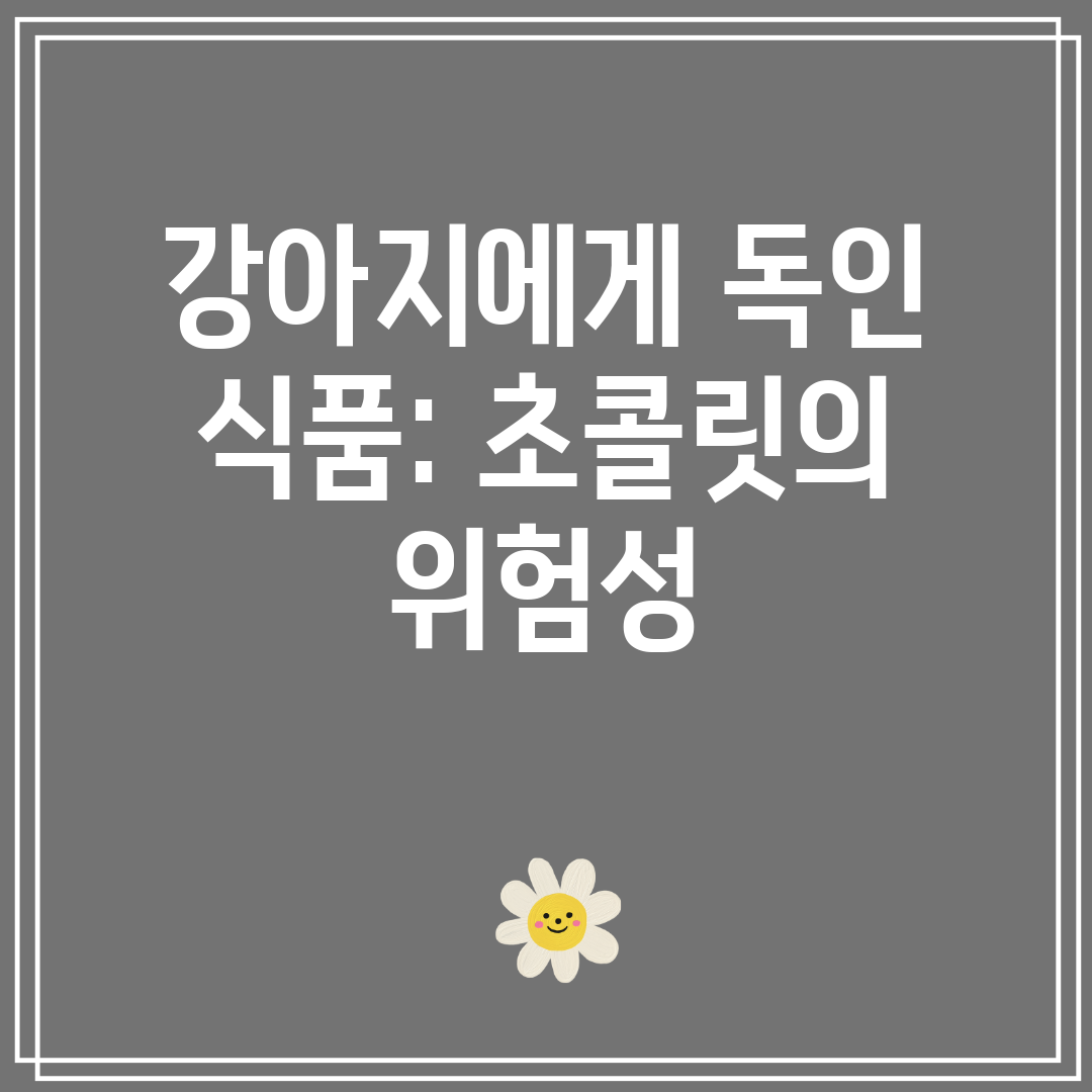 강아지에게 독인 식품 초콜릿의 위험성