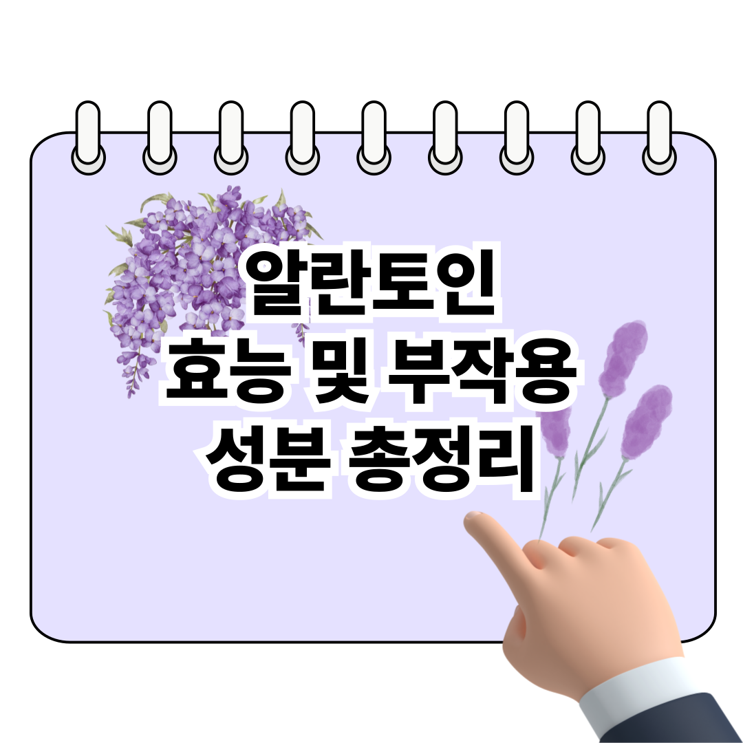 알란토인 효능과 부작용, 사용법 총정리 포스터