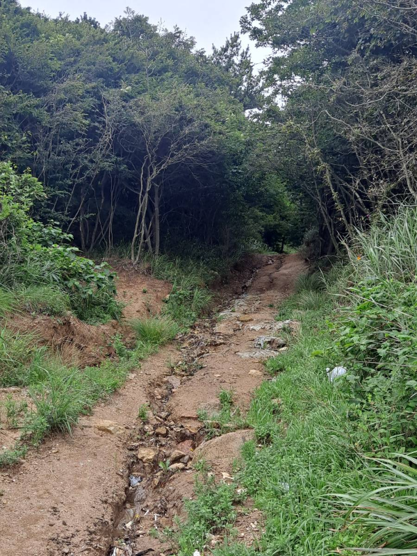 무의도 국사봉 올라가는 길