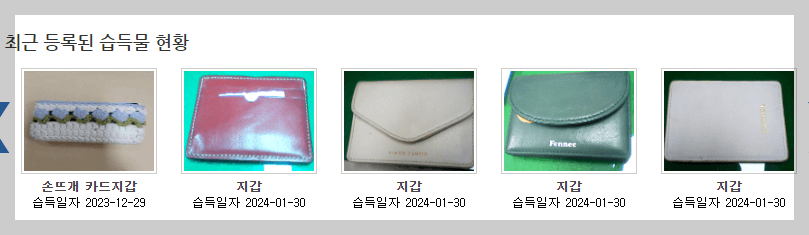 습득물현황1