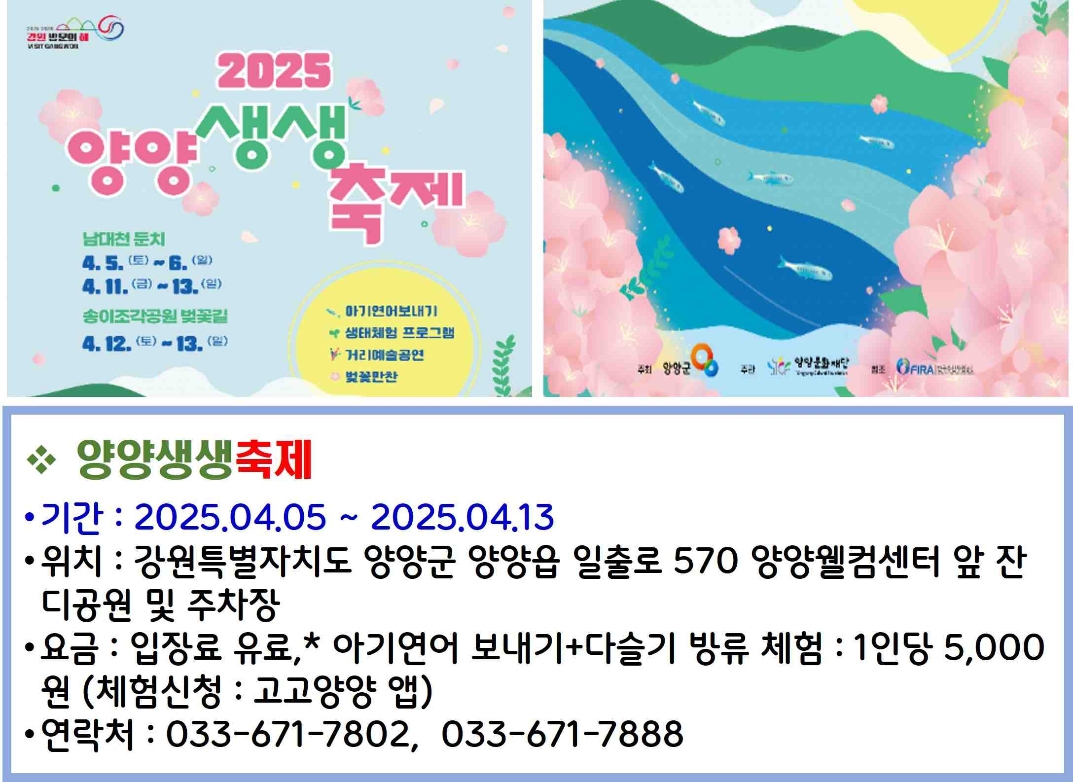 양양생생축제