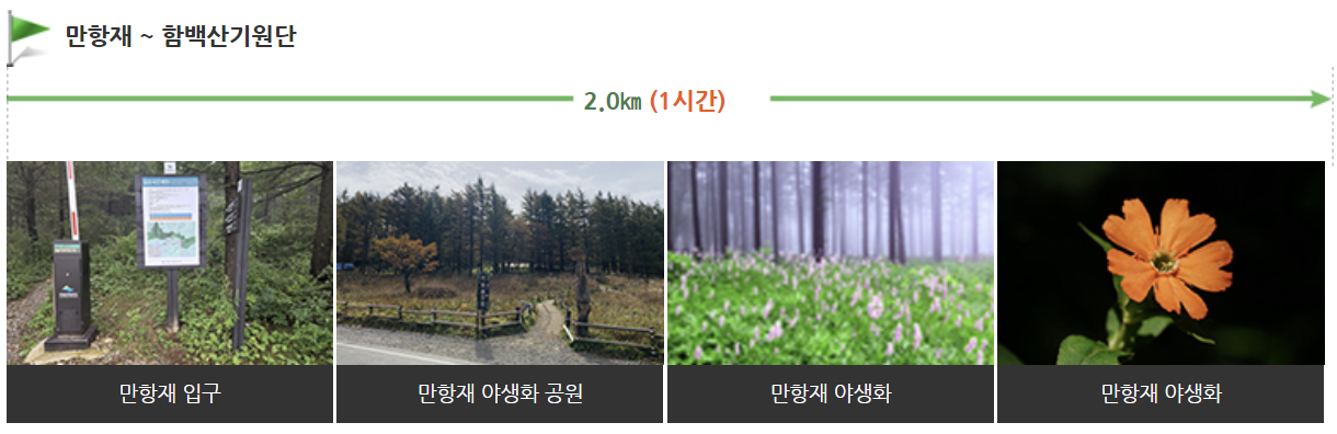 태백산 탐방코스∣유일사 당골 금대봉 탐방로 예약 (출처 : 태백산 국립공원 홈페이지)