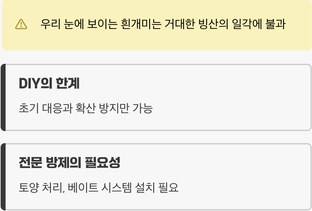 5단계: DIY의 한계와 전문가의 필요성