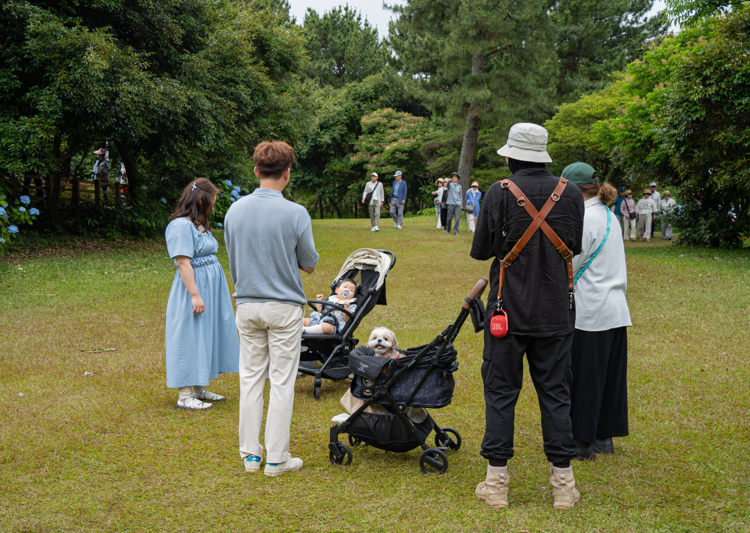 혼인지 가족 스냅