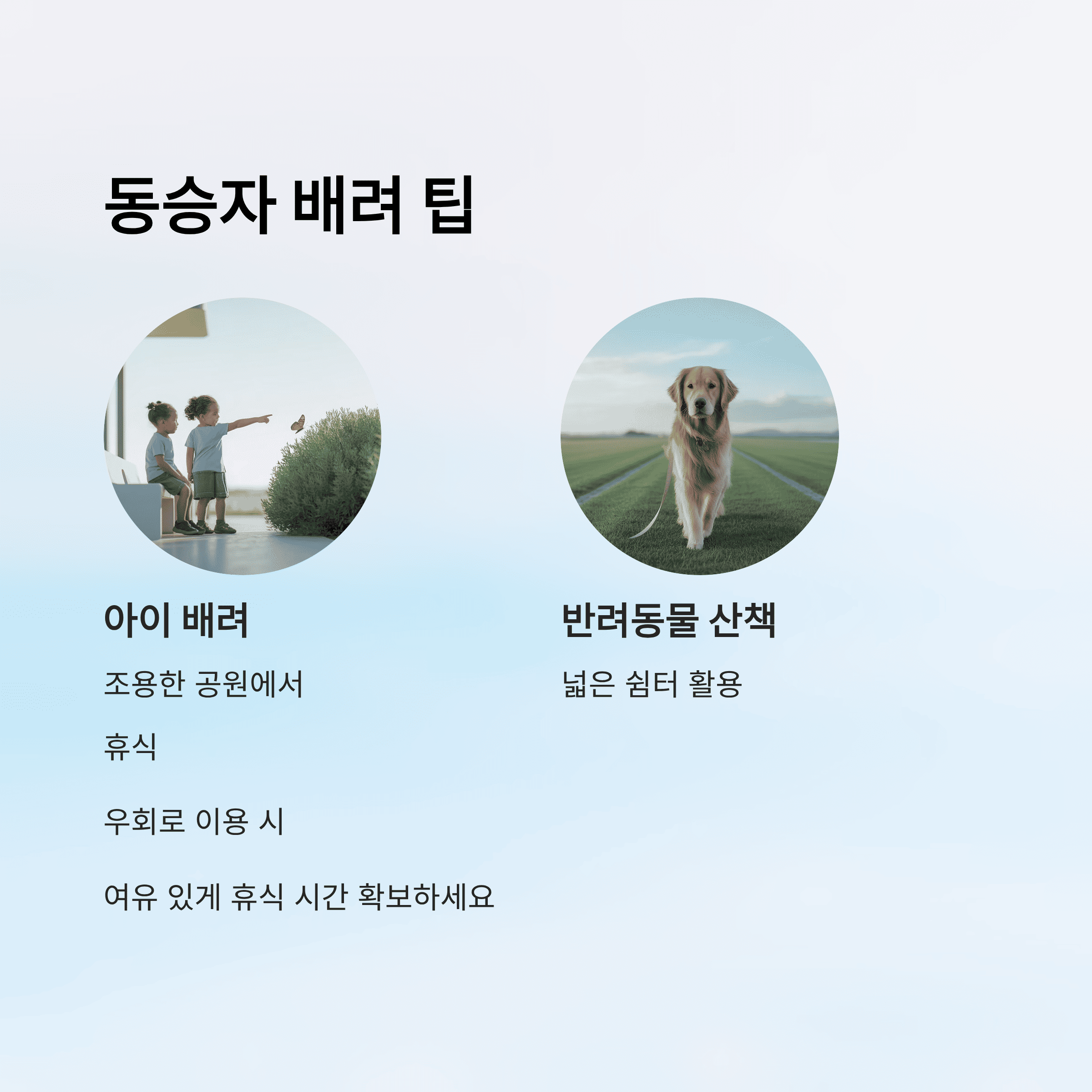 고속도로 CCTV로 막힌 길 탈출한 생생 후기