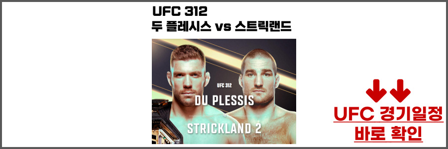UFC 312