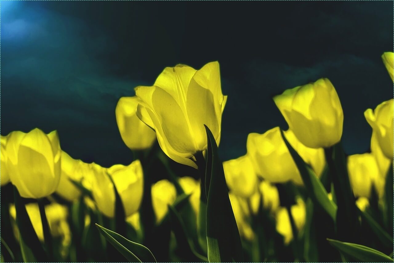 하나은행 정기예금 금리