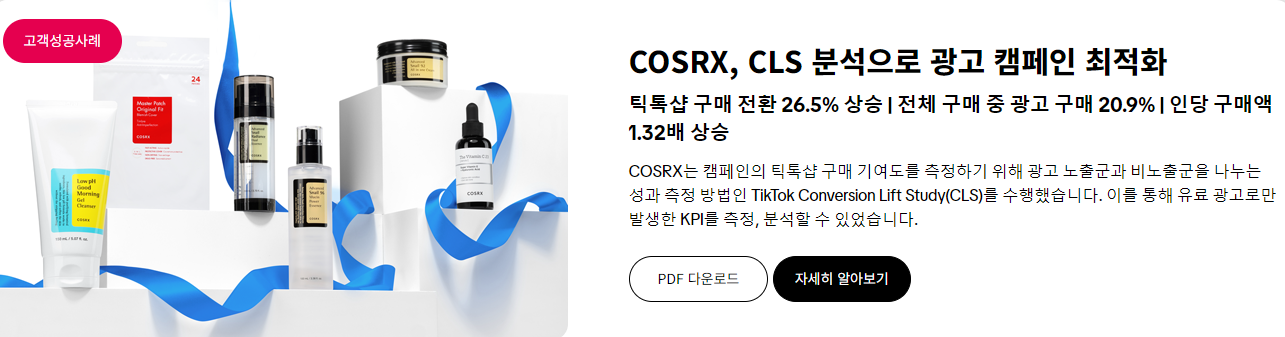 틱톡 글로벌 성공 사례