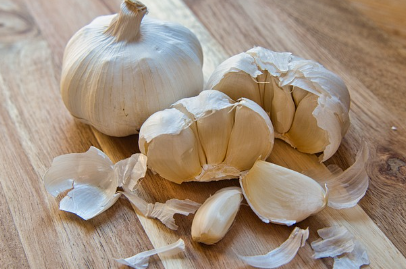 감염 질환 예방에 탁월한 마늘
