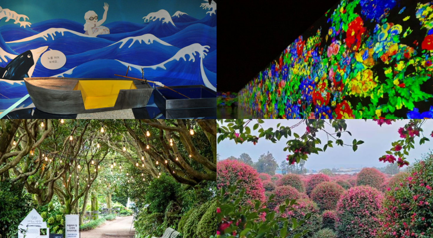 12월 제주도 가볼만한곳