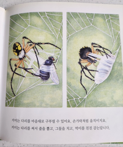 멋진 거미