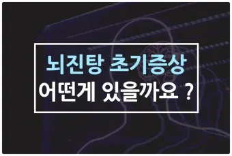 뇌진탕 초기 증상 후유증 으로_13