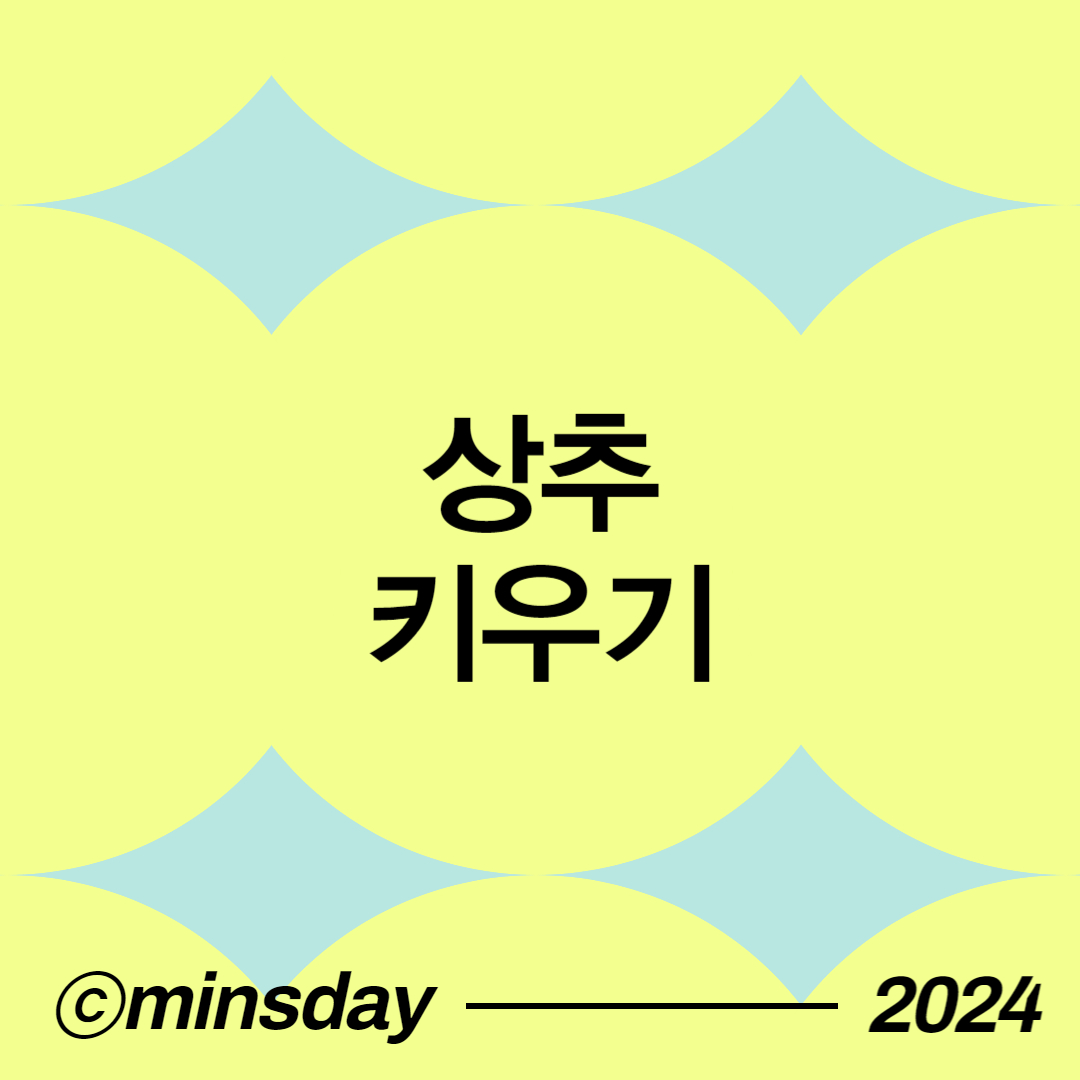 상추키우기