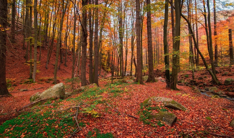 계절별 건강 관리