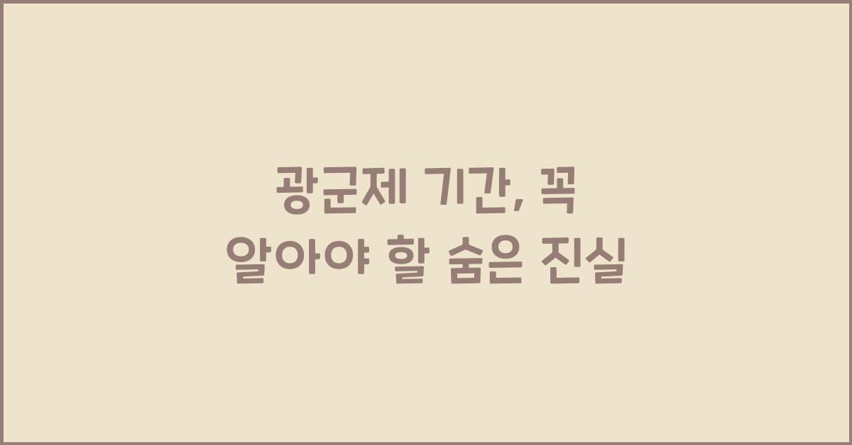 광군제 기간