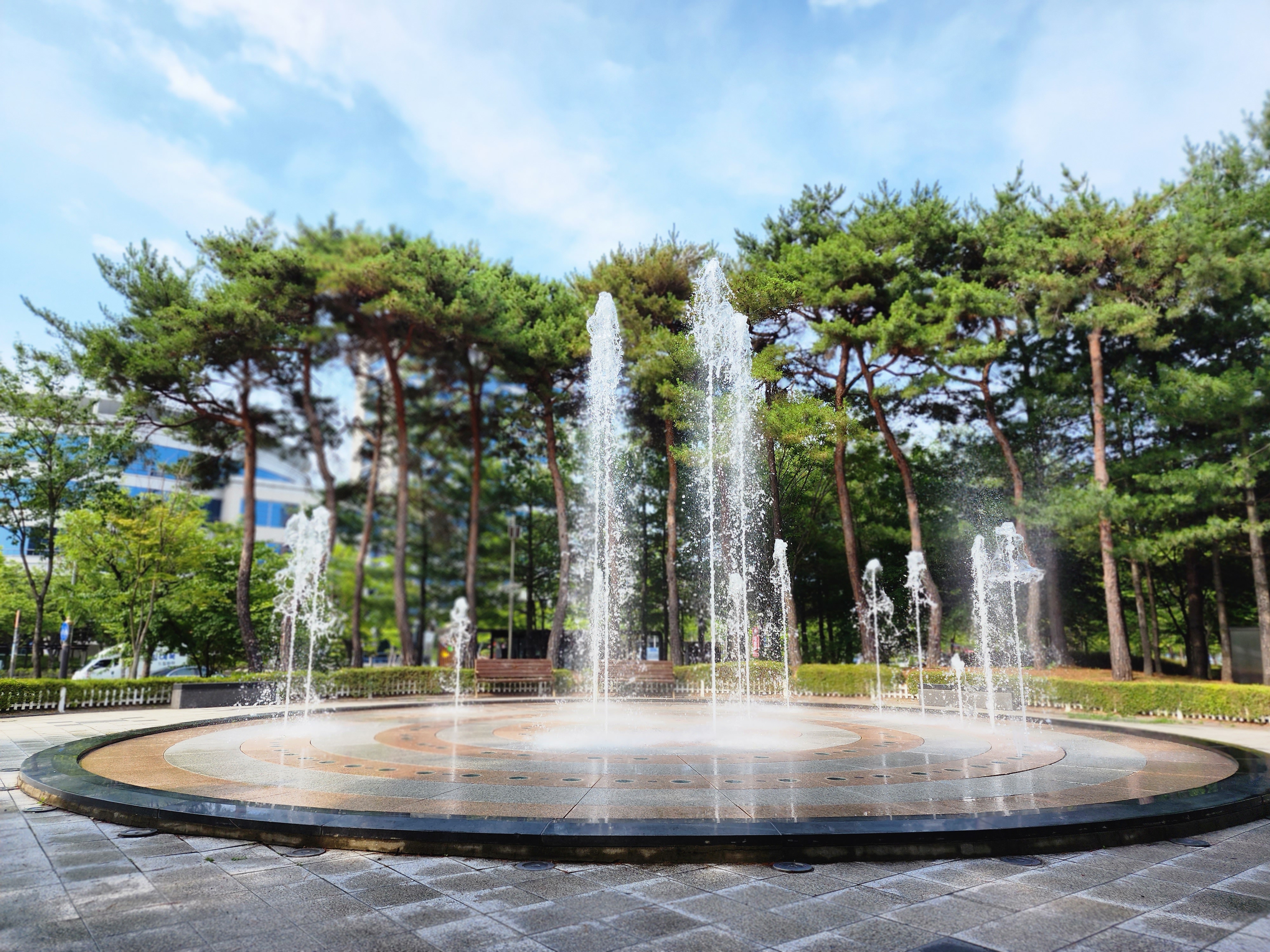 마전숲공원 바닥분수