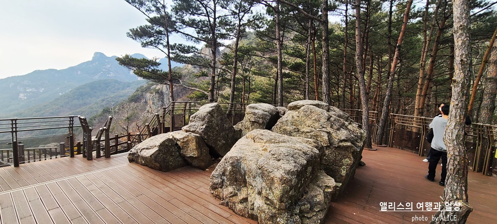 거창 Y 자형 출렁다리 (입장권 현장구매가능) 경남 가볼만한곳