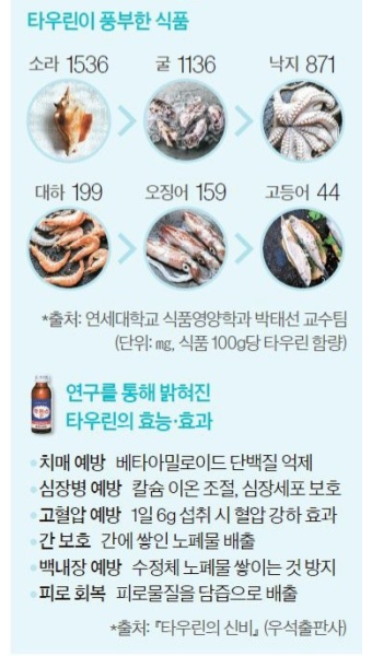 타우린 알부민 영양보충제