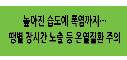 Alt 속성 문제 해결 설명 이미지