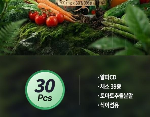 채식습관 베지테리컷