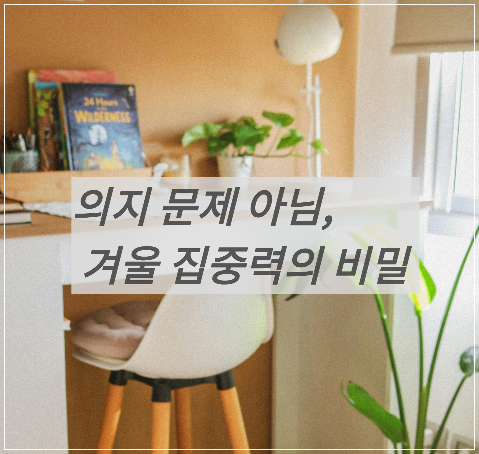 따뜻한 실내 분위기 모습