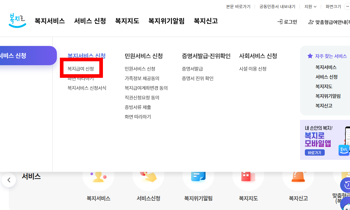 노인 맞춤 돌봄 서비스