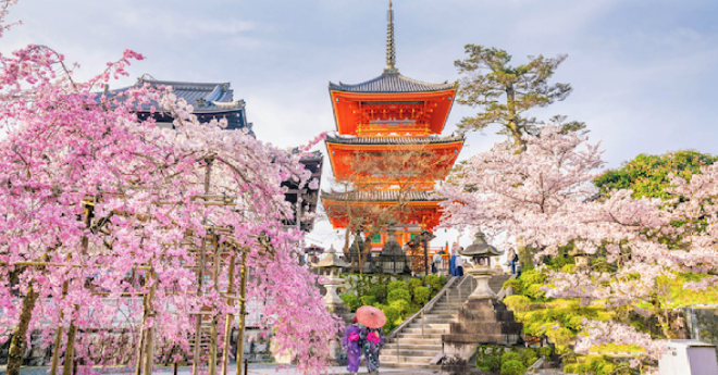 미리 준비하는 2024 일본 벚꽃 여행 꿀팁 할인쿠폰