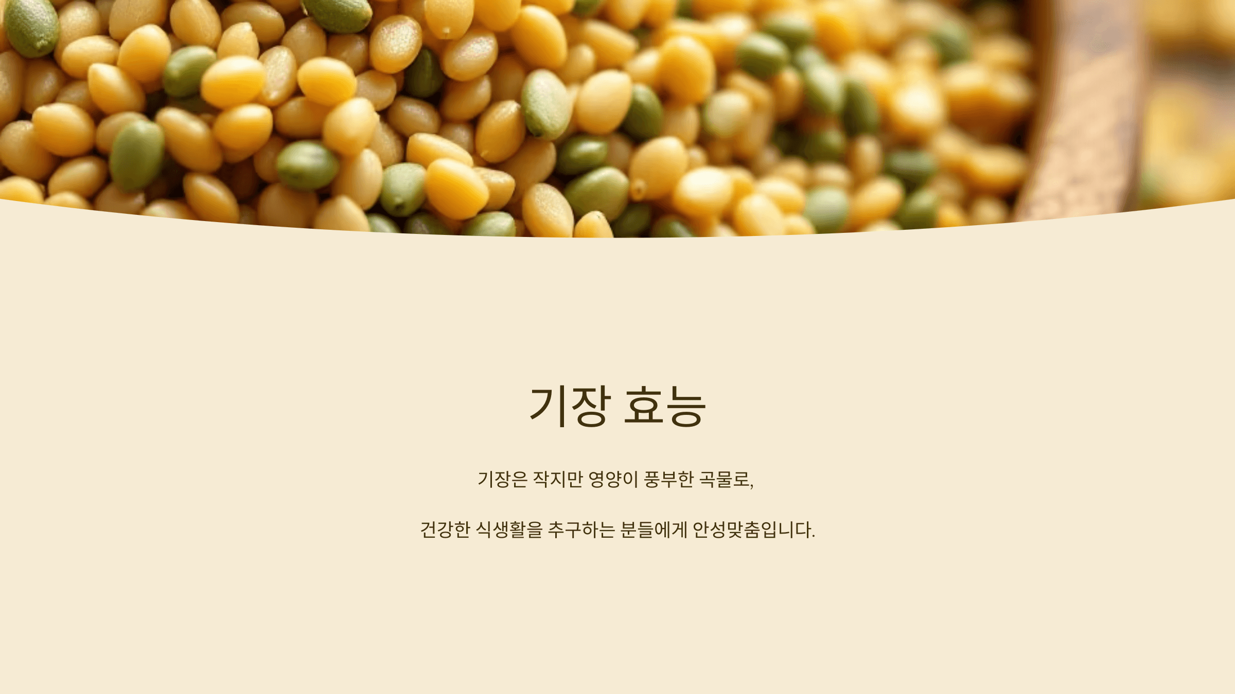 기장 사진입니다.