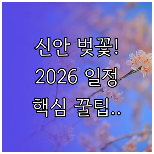 2026년 신안 벚꽃 축제 일정 및 ..