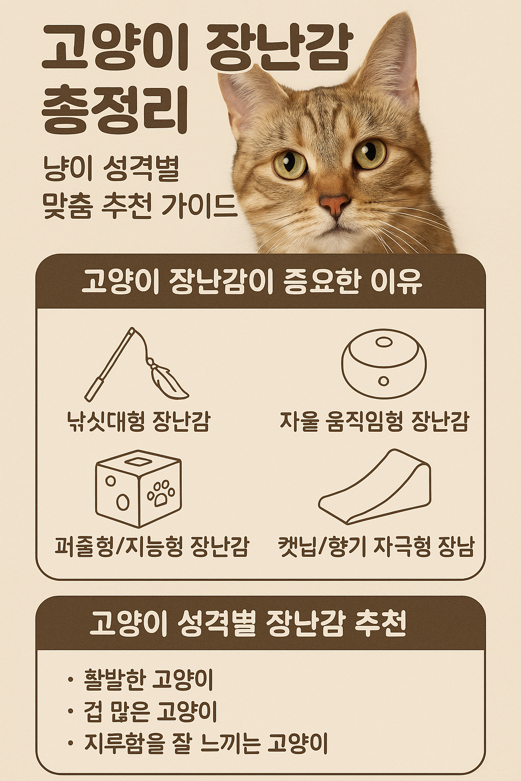 고양이 장난감 총정리