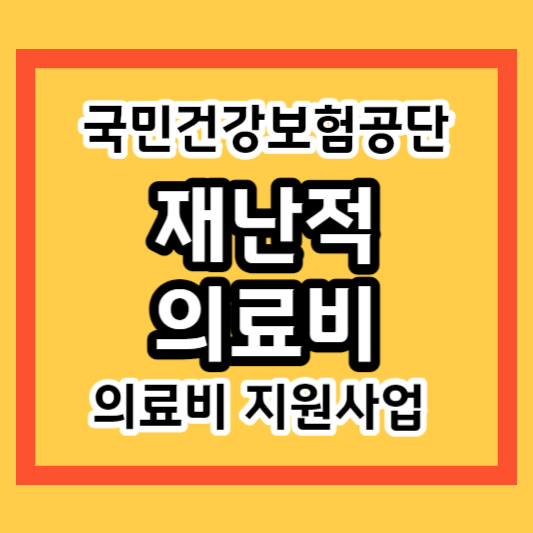 재난적 의료비의 지원사업