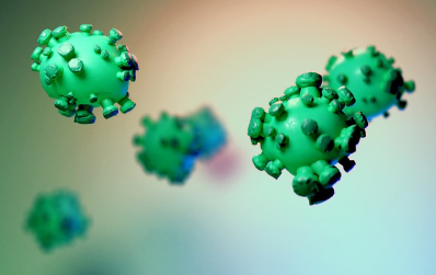 농사일의 적 리켓차증