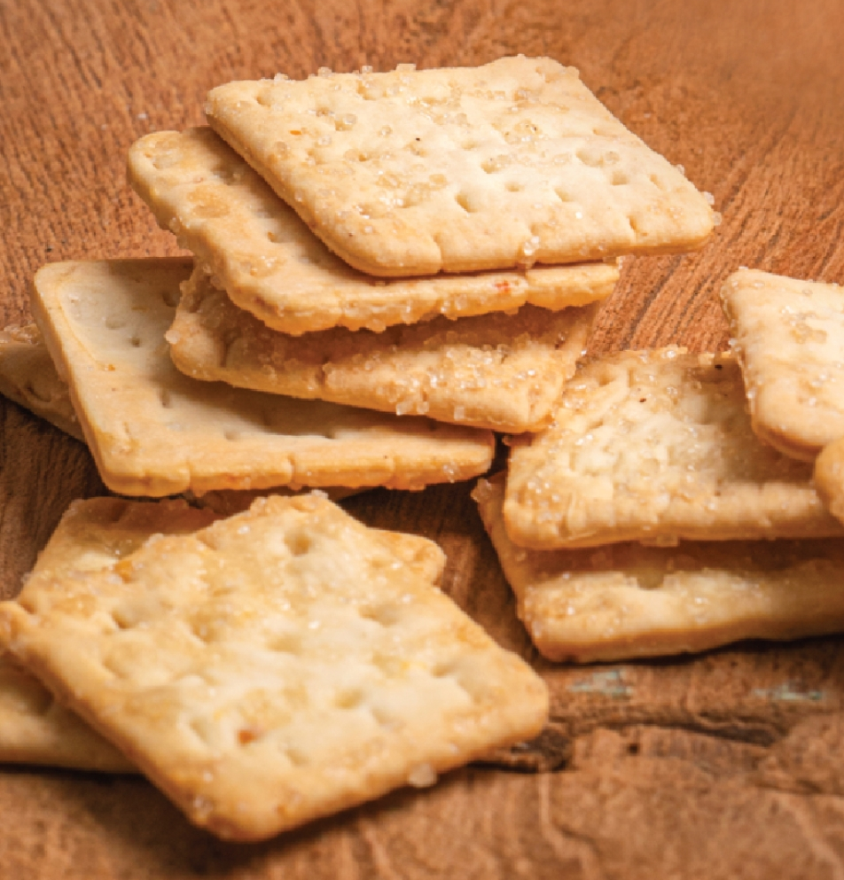 생방송투데이 제주 달걀 공장