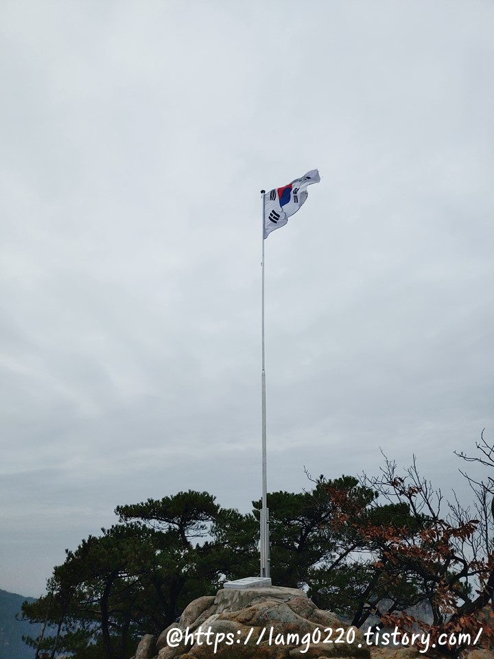 육봉국기대