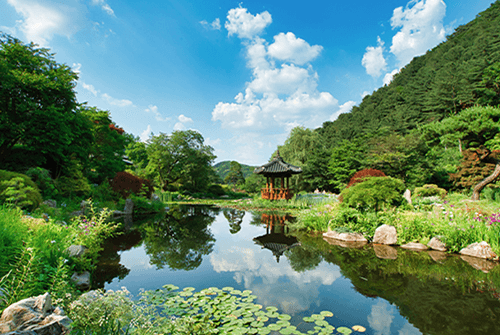 아침고요수목원09