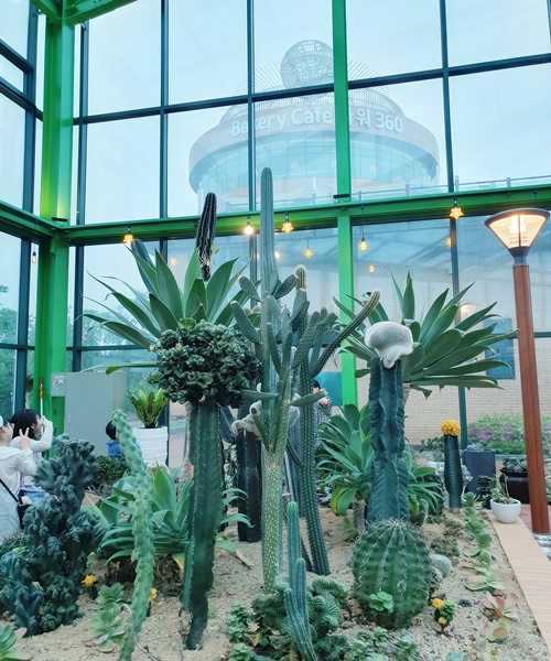 바르바커피-타워360-식물원카페