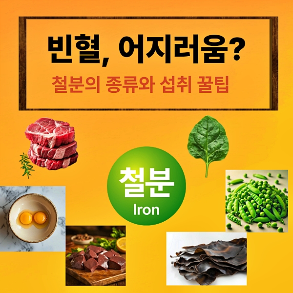 빈혈?어지러움? 철분의 종류와 섭취